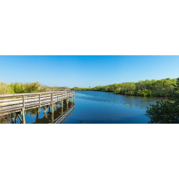 Anhinga Trail boardwalk, Everglades National Park, Florida, USA Poster Print (27 x 9)