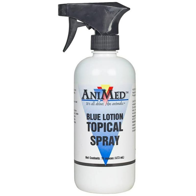 AniMed Blue Lotion Topical Antiseptic for Horses Dogs Cats Cows Sheep and Goats 16 Ounce