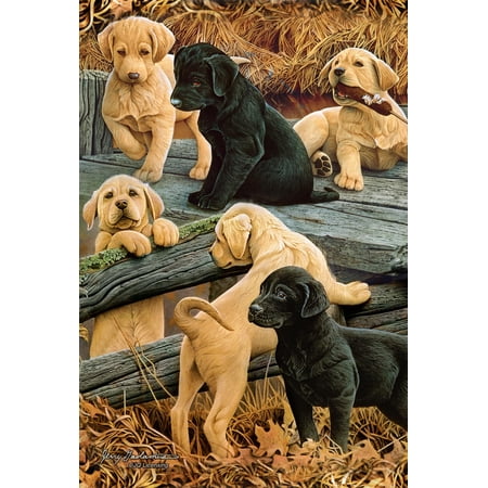 Bookmark Trenz Animal - 3D Postcard