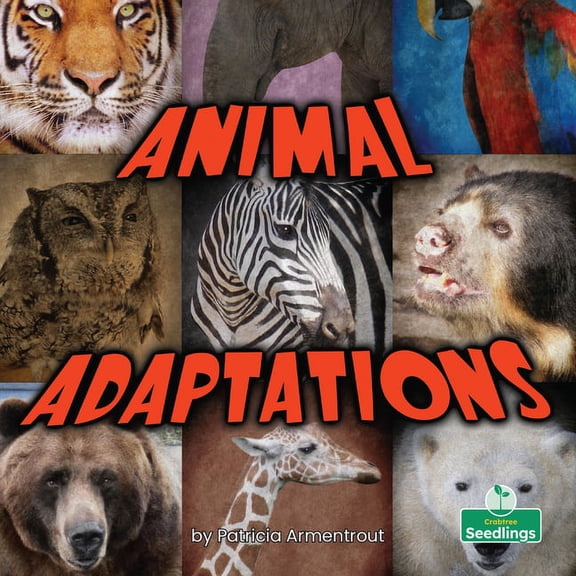 Animal Adaptations, (Paperback)