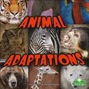 Pre-Owned Animal Adaptations (Paperback)