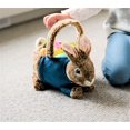 thumbnail image 1 of Animal Adventure , Peter Rabbit , Collectible Plush Basket , Peter Rabbit Easter Basket, 1 of 6