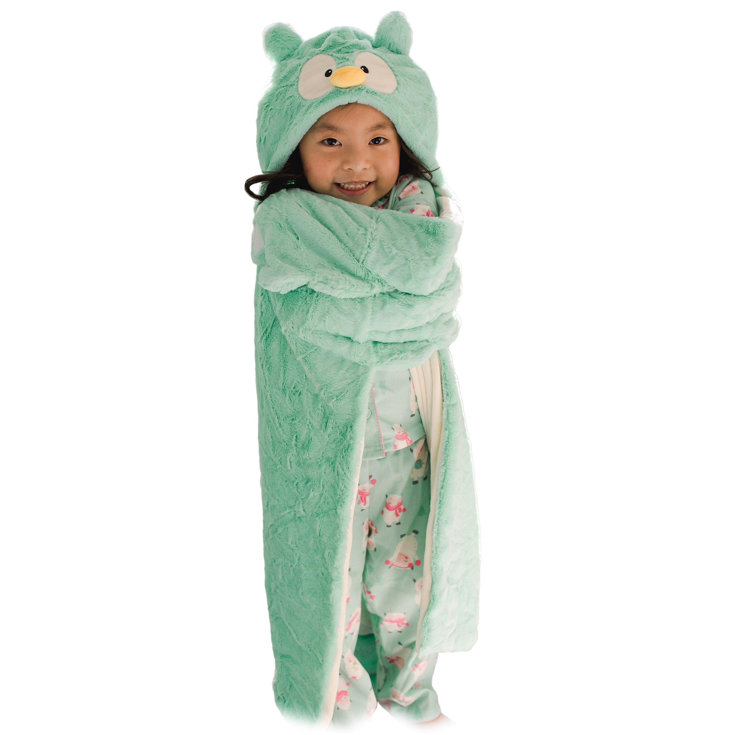 Animal Adventure® Wild for Style™ 2-in-1 Transformable Character Cape & Plush Pal – Owl - image 1 of 7