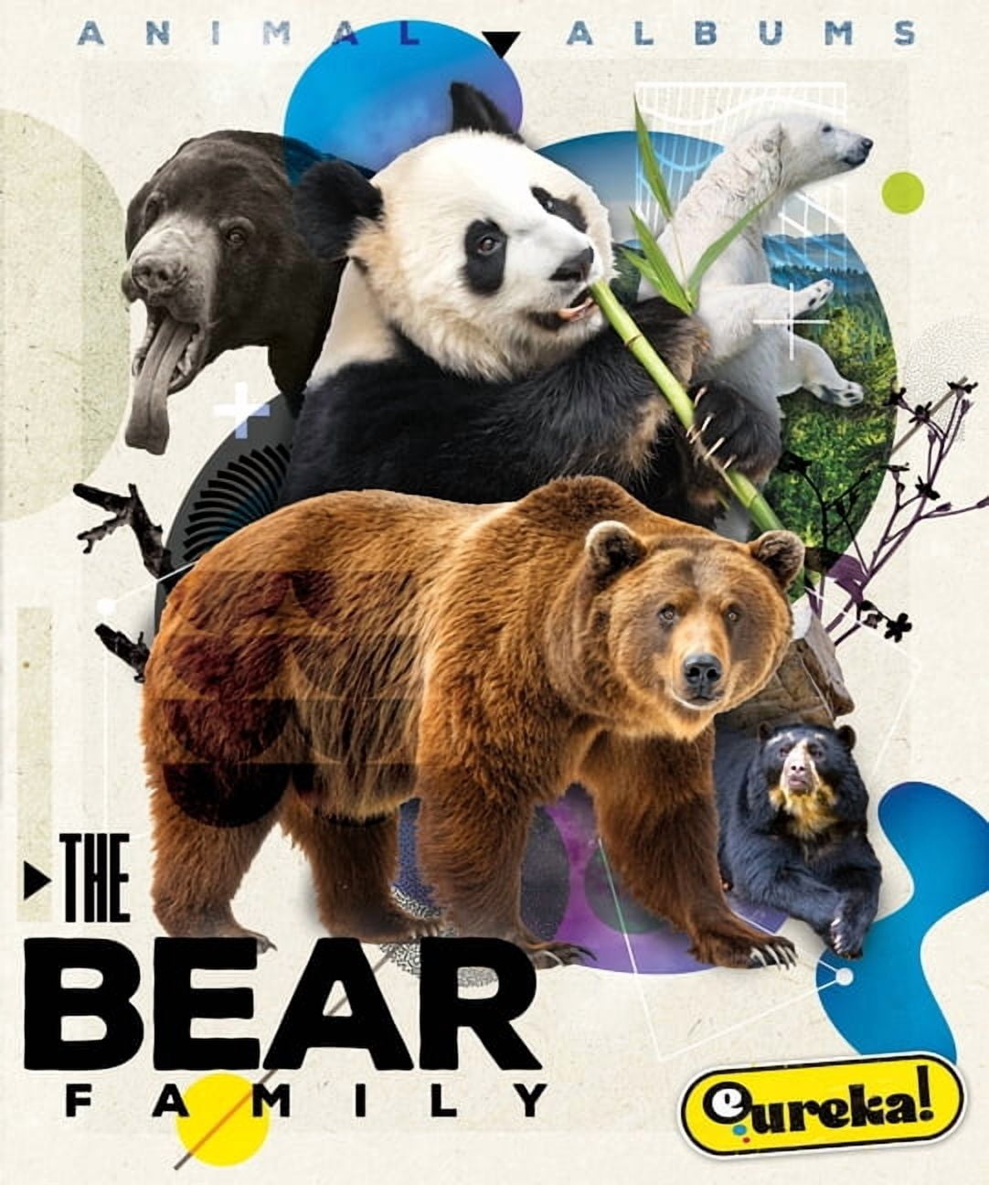 Animal Albums The Bear Family, (Hardcover)
