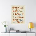 thumbnail image 1 of Animal Alphabet ABC Sign on Canvas, 1 of 7