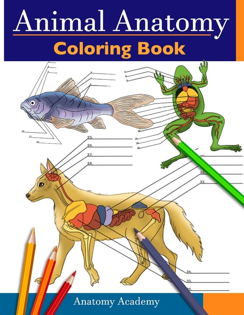 Animal Anatomy Coloring Book Incredibly Detailed SelfTest Veterinary