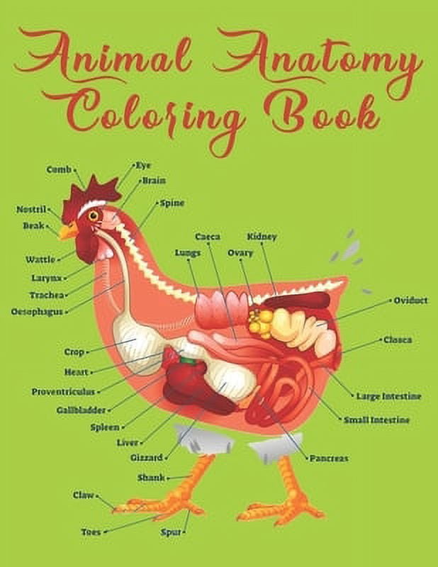 Animal Anatomy Coloring Book Veterinary Physiology Animals Coloring