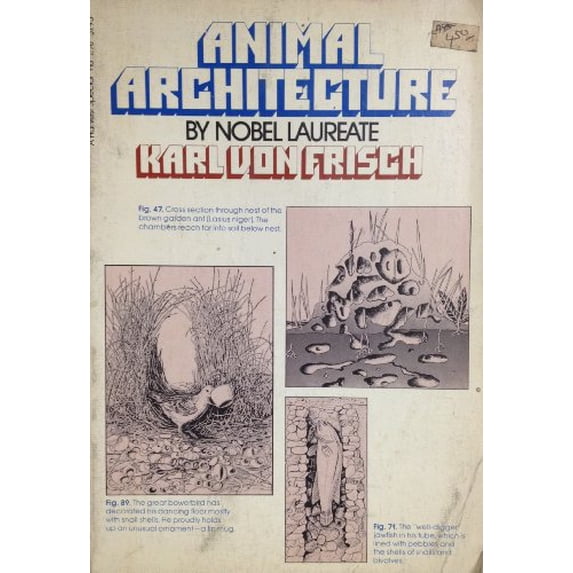 Pre-Owned Animal Architecture (Paperback) 0156075202 9780156075206
