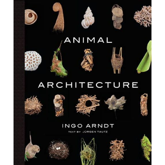 Pre-Owned Animal Architecture Paperback