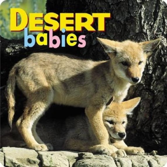 Animal Babies: Desert Babies (Board book)