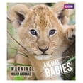 thumbnail image 1 of Animal Babies (Hardcover), 1 of 1