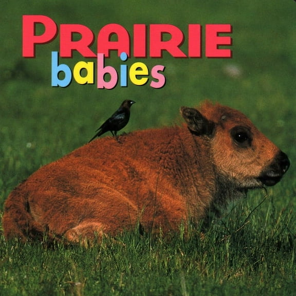Animal Babies: Prairie Babies (Board book)