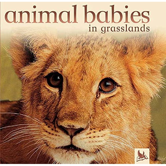 Pre-Owned Animal Babies in Grasslands (Hardcover) 075345789X 9780753457894
