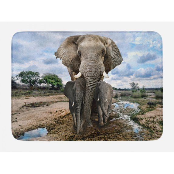 Animal Bath Mat, Photo of Family Mother Nature Creatures Land, Plush Bathroom Decor Mat with Non Slip Backing, 29.5" X 17.5", Multicolor, by Ambesonne
