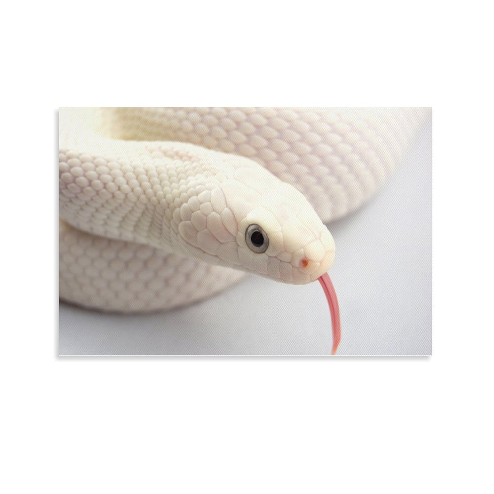 Animal Beast Birds Lion Tiger Wolf (263)Poster Canvas painting Wall