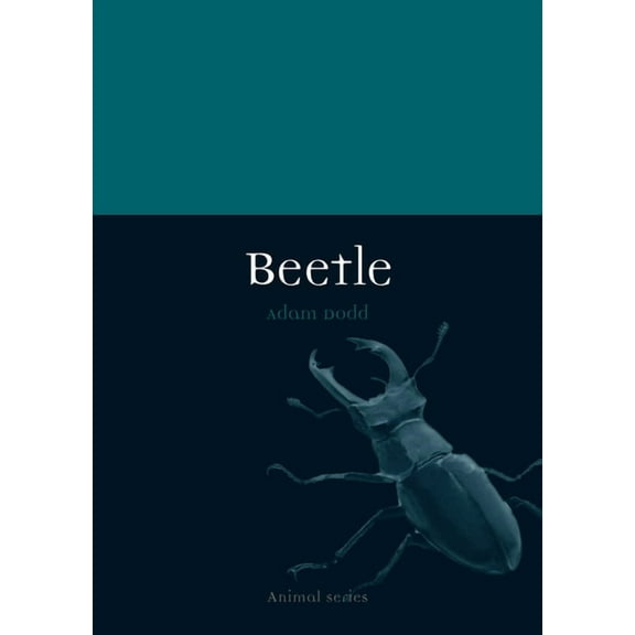 Animal: Beetle (Paperback)