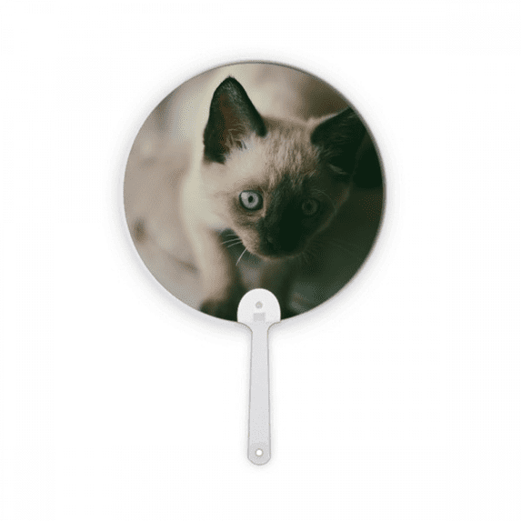 Animal Blue Eye Kitten Gray Photograph Plastic Round Handheld Fan Decorations Craft