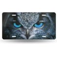thumbnail image 1 of Animal Blue Eyes Owl License Plate Front Car Decorative Novelty Auto Plate Car Tag Vanity Gift Metal  Plate for Women/Man 12x6 inch Wall Decor, 1 of 14
