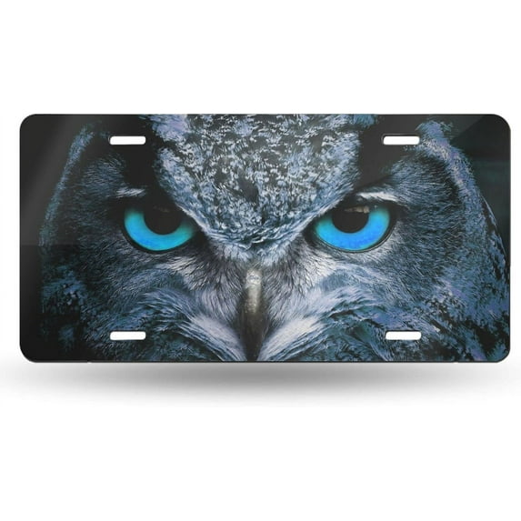 Animal Blue Eyes Owl License Plate Front Car Decorative Novelty Auto Plate Car Tag Vanity Gift Metal  Plate for Women/Man 12x6 inch Wall Decor