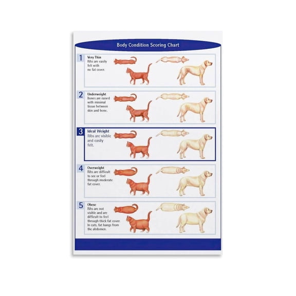 Animal Body Condition Chart,Cat And Dog Body Condition Score Chart Poster (1) Canvas Painting Wall Art