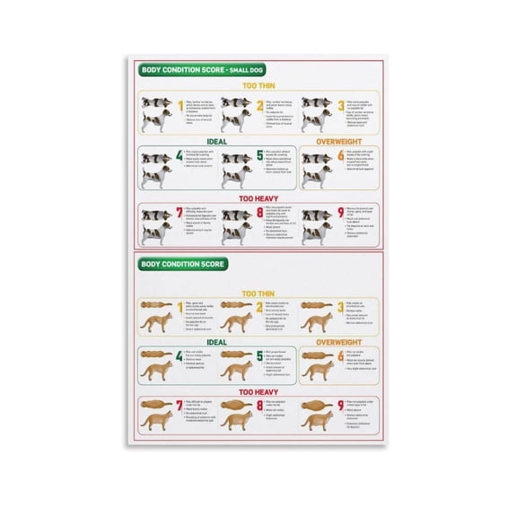 Animal Body Condition Chart,Cat And Dog Body Condition Score Chart Poster Canvas Painting Wall Art