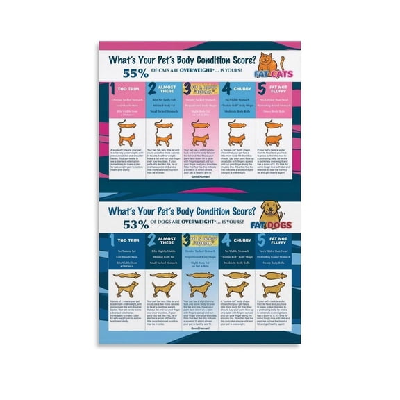 Animal Body Condition Poster,Cat And Dog Body Condition Score Chart Canvas Painting Wall Art