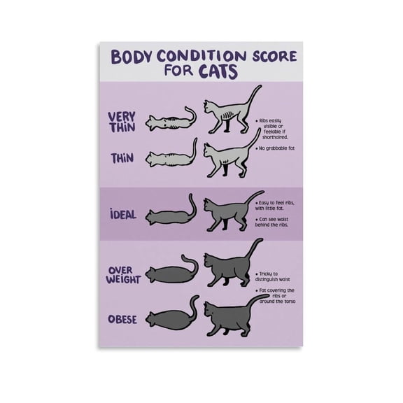Animal Body Condition Poster,Cat Body Condition Score Chart 2 Canvas for Living Room Bedroom Decor