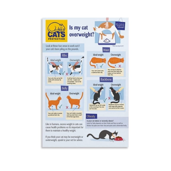 Animal Body Condition Poster,Cat Body Condition Score Chart Canvas Painting Wall Art