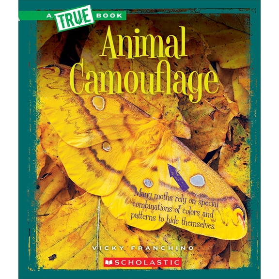 Animal Camouflage