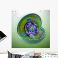 thumbnail image 1 of Animal Cell Cut-away Wall Mural by Wallmonkeys Peel and Stick Graphic (24 in H x 24 in W) WM356895, 1 of 4