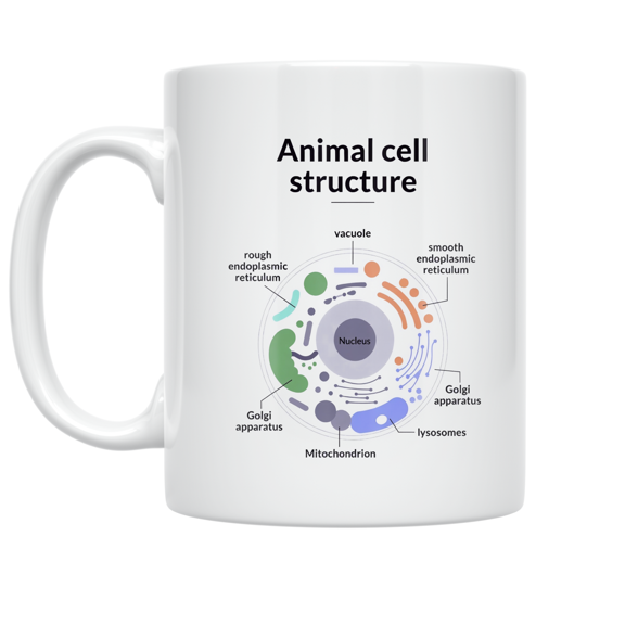 Animal Cell Structure Diagram - Science Enthusiast - 11 oz Ceramic Coffee Mug