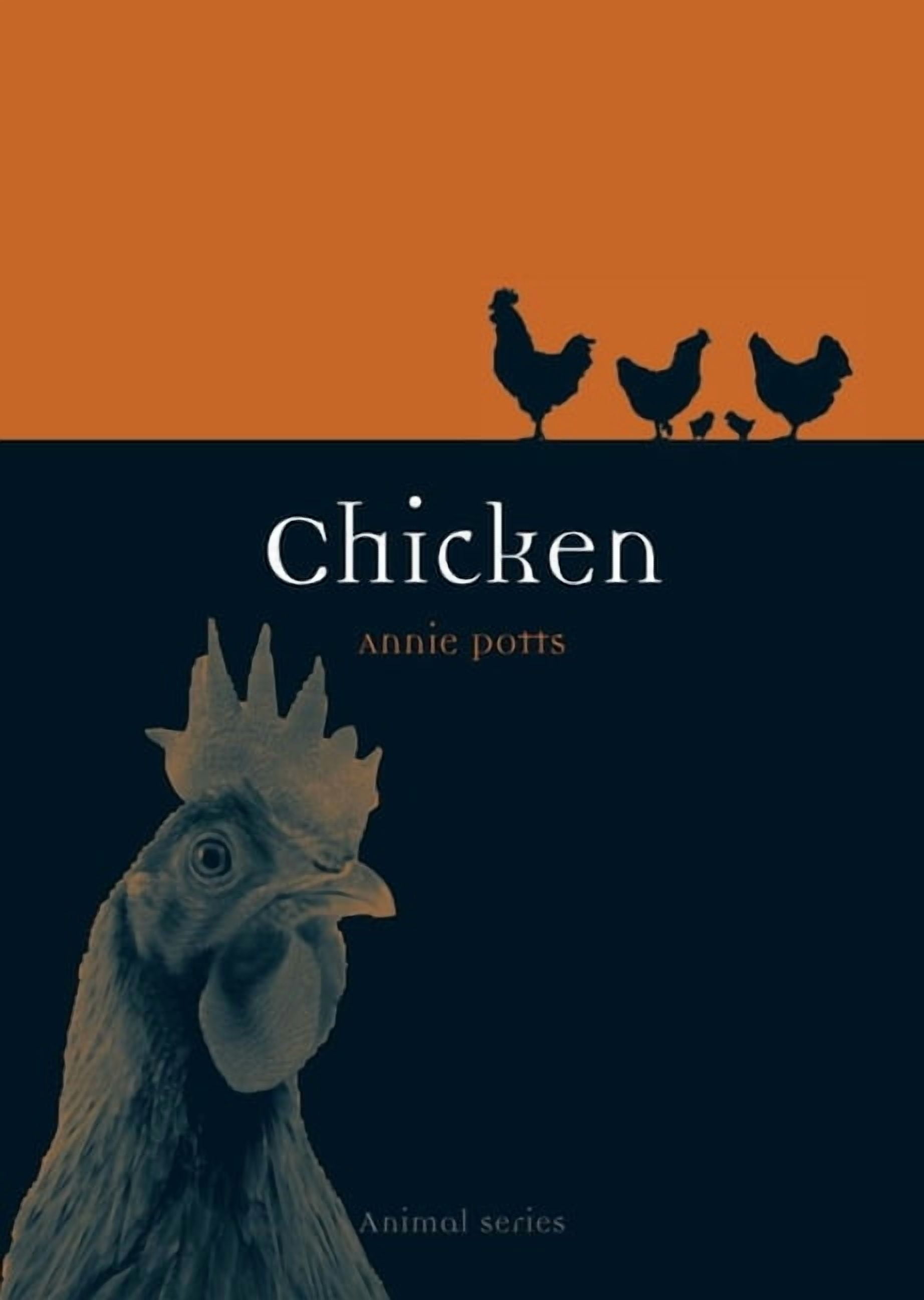 Animal: Chicken (Paperback)
