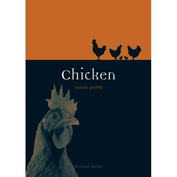 Animal: Chicken (Paperback)