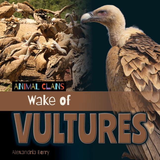 Animal Clans Wake of Vultures, (Hardcover)
