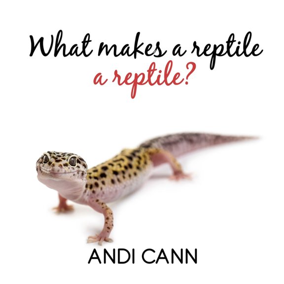 Animal Classes What Makes a Reptile a Reptile, Book 5, (Paperback)