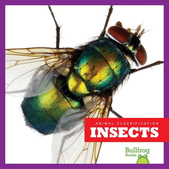 Animal Classification: Insects (Paperback)