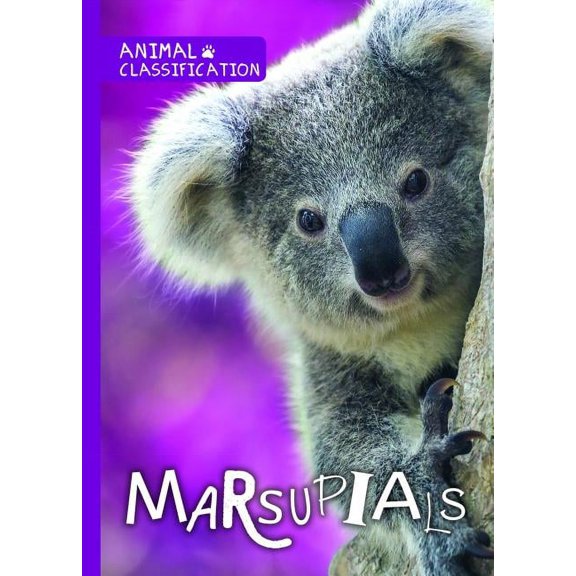 Animal Classification: Marsupials (Paperback)