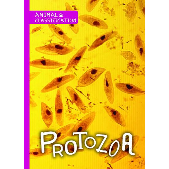 Animal Classification: Protozoa (Paperback)