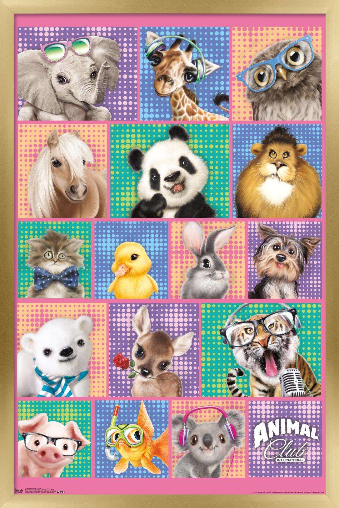 Animal Club - Group Wall Poster, 14.725" x 22.375", Framed