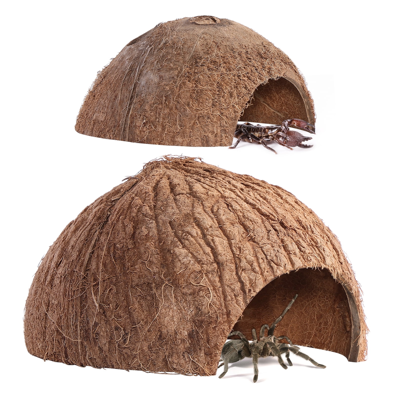 Animal Coconut Shell Hut Hut Hideout Reptile Cave Gecko Hides and Caves
