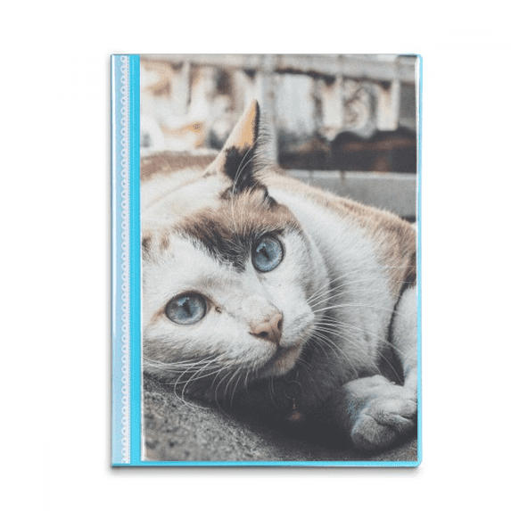 Animal Colorful Cat Photograph Picture Book Sheet Protectors Portfolio Binder Folder