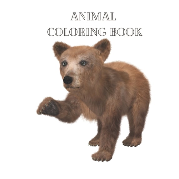 Animal Coloring Book: Actvity Coloring Pages for Kids (Paperback)