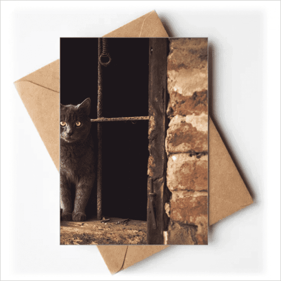 Animal Corner Cat Photograph Picture Greeting Cards You are Invited Invitations