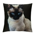 Animal Cute Kitty Gifts Throw Pillow