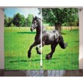 thumbnail image 1 of Ambesonne Animal Curtains 2 Panel Set, Friesian Horse, 108" x 84", Black Green, 1 of 3