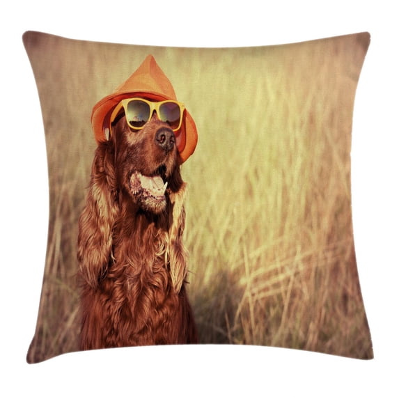 Animal Decor Throw Pillow Cushion Cover, Funny Retro Irish Setter Dog Wearing Hat and Sunglasses Humor Joy Picture, Decorative Square Accent Pillow Case, 16 X 16 Inches, Redbrown Tan, by Ambesonne
