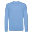 thumbnail image 1 of Animal Den Youth Athletic Performance UPF 50+ UV Protection Long Sleeve Shirts for Boy's or Girl's  Moisture Wicking Rash Guard (Carolina Blue, Large), 1 of 3