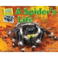 thumbnail image 1 of Animal Diaries: Life Cycles: A Spider's Life (Paperback), 1 of 1