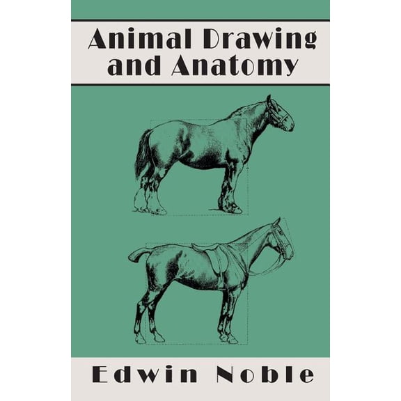 Animal Drawing and Anatomy, (Paperback)