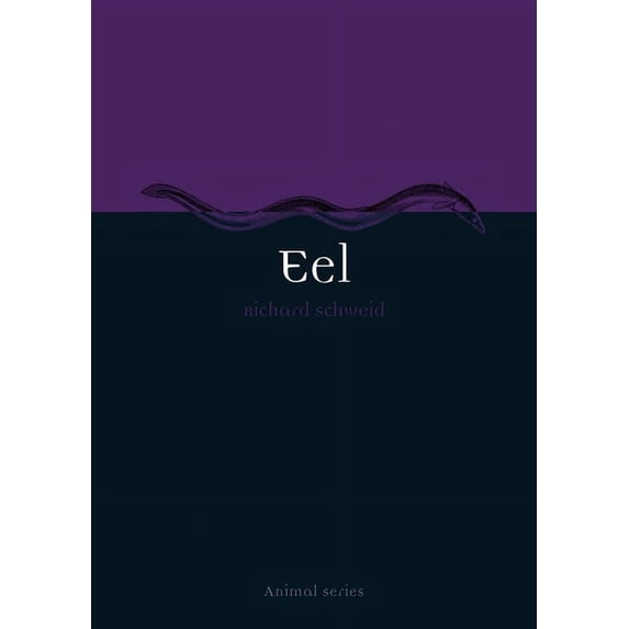 Animal: Eel (Paperback)